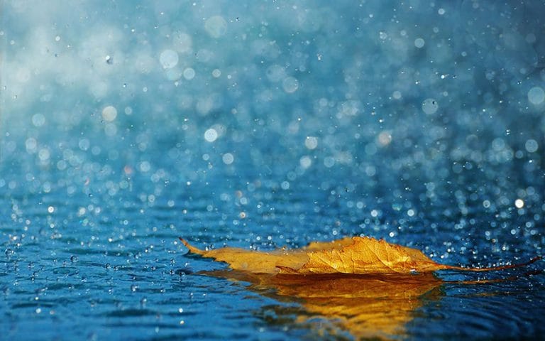 Wet Weather and Laser Levels