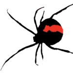 RedBack Lasers
